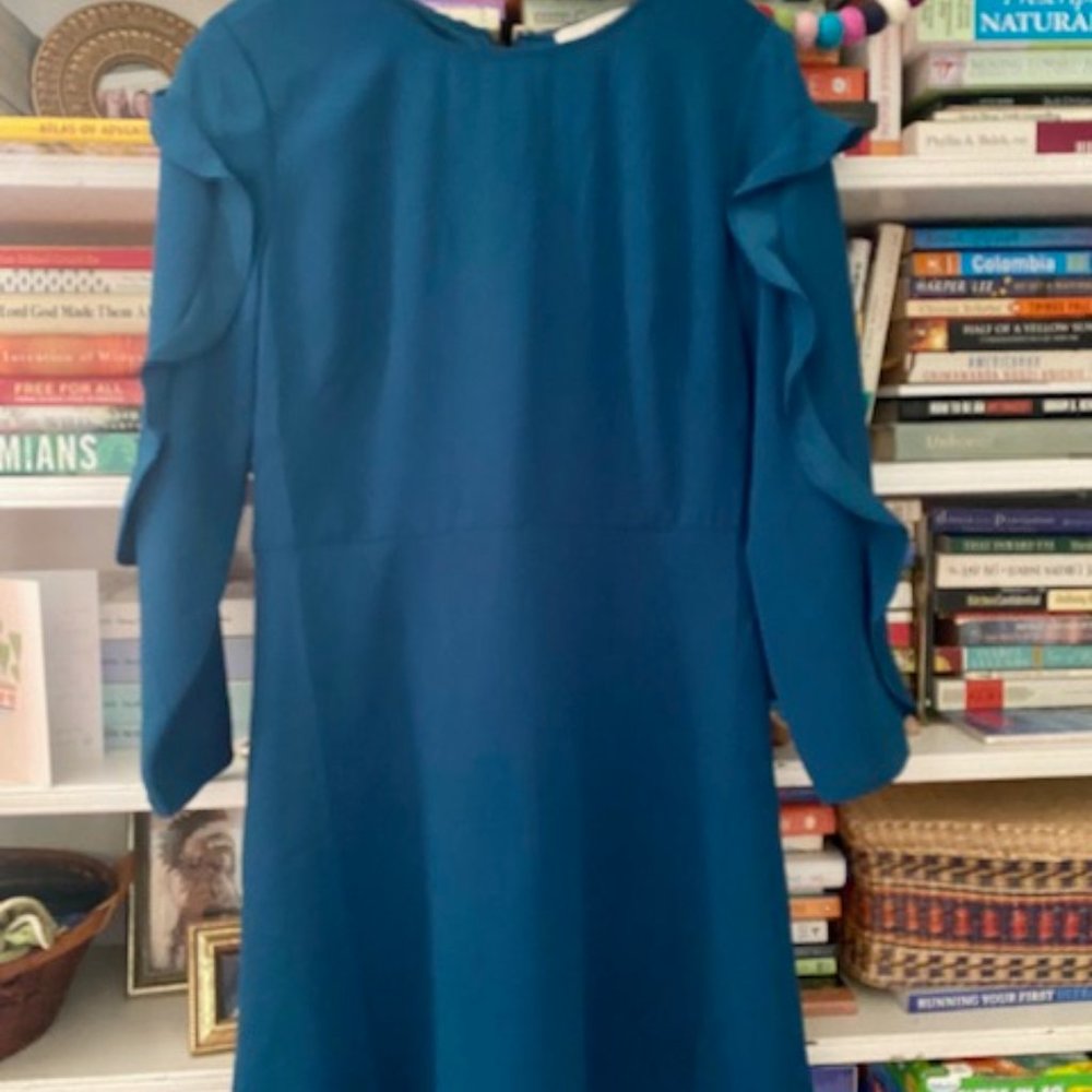 New Ann Taylor Loft Dress